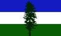 The Real Cascadia Flag