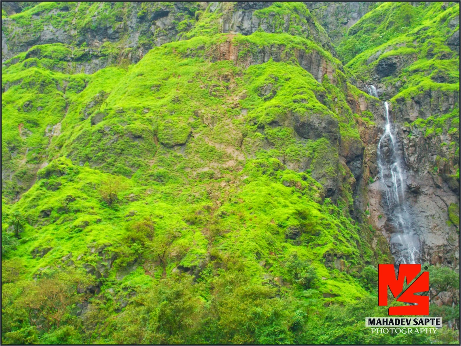 Satara Mahabaleshwar Pratapgad Thoseghar Kas Pathar & Sahyadri