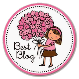 Premio Best  Blog