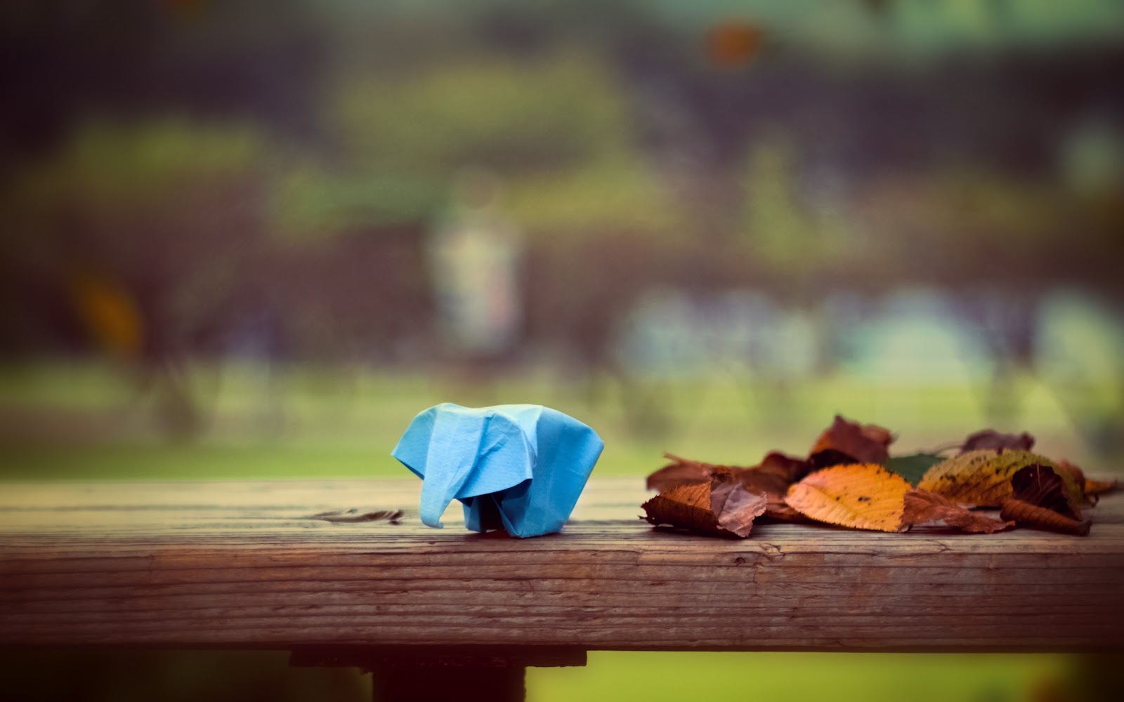 http://1.bp.blogspot.com/-mHNgwWP7OQg/T0ZJt-eFJdI/AAAAAAAADck/Ia7D9iQ96I4/s1600/HD%2BWALLPAPER%2BDOWNLOAD%2BFREE((thewallpaperdb.blogspot%2B(218).jpg
