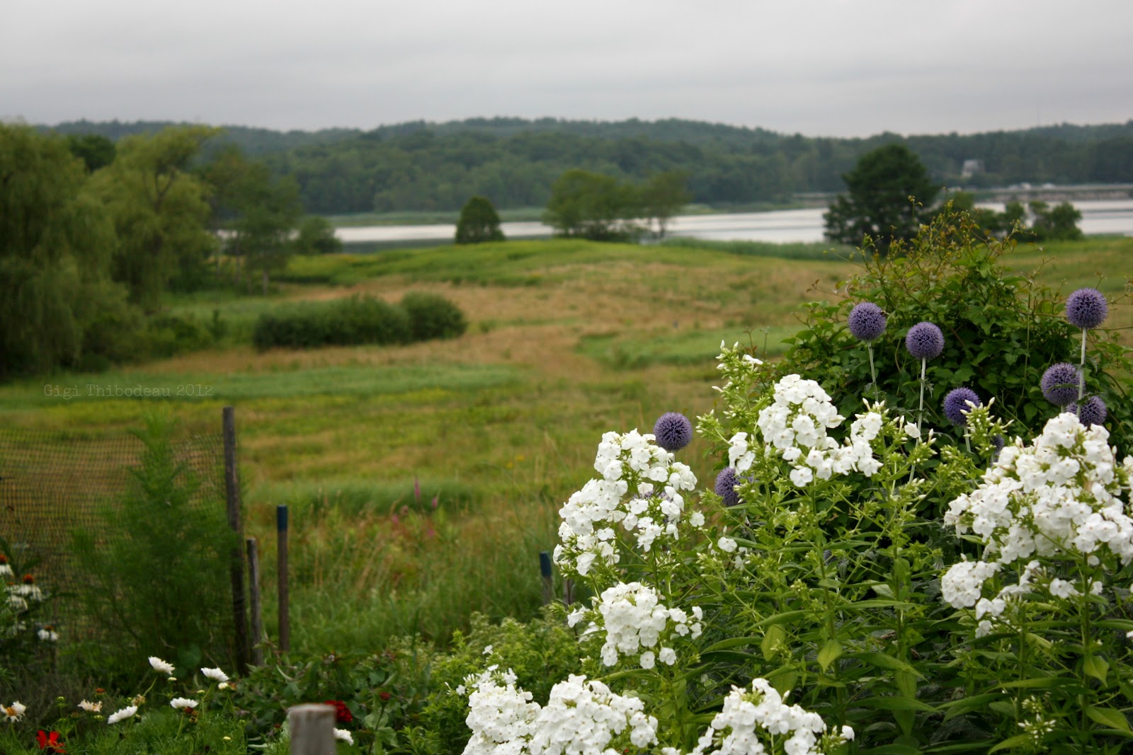 The Magpie's Fancy Garden Inspiration