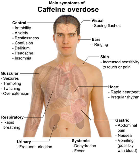 signs of caffeine overdose in dogs