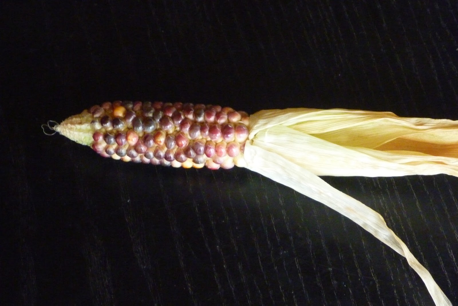 Mudflower Glass Bead Corn