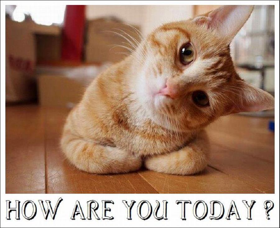 How Are You Today | Letter a Studio