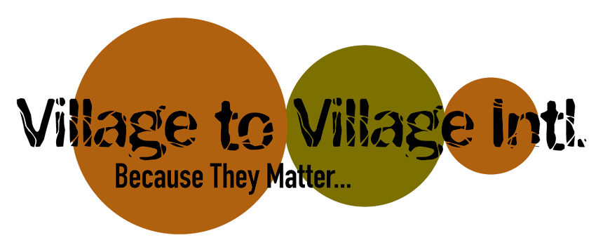 Village to Village Intl.