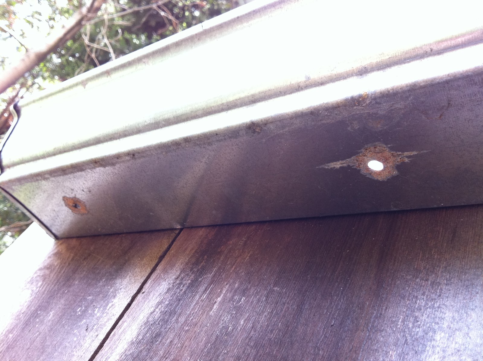 corner blog: how to build a gutter garden