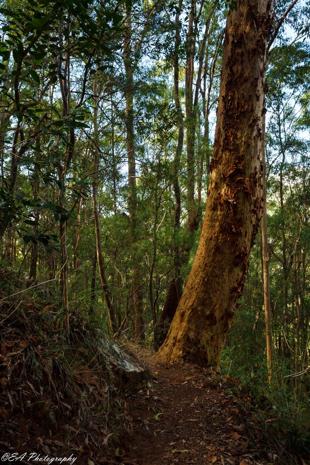 The Greatest of These is LOVE Killarney Glen