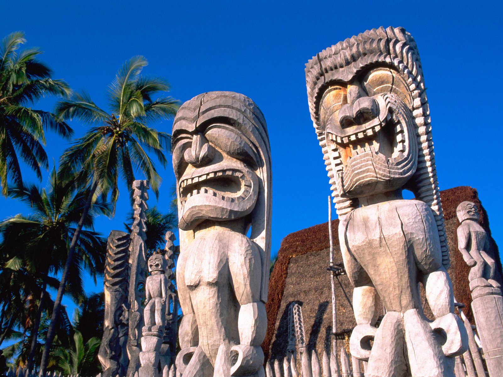 Luau Hawaiano en el Giner Los tikis