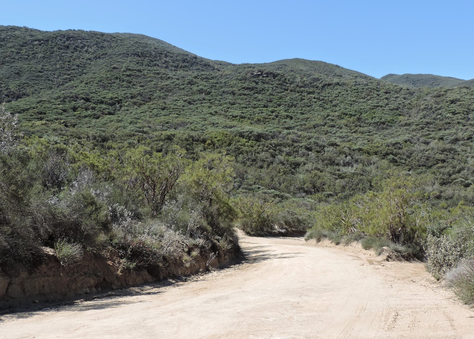 Eden By The Bay Drive through the Chaparral