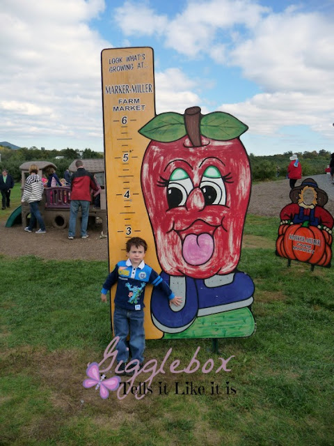 Fall time family fun picking apples at Marker-Miller Orchards in Winchester VA,