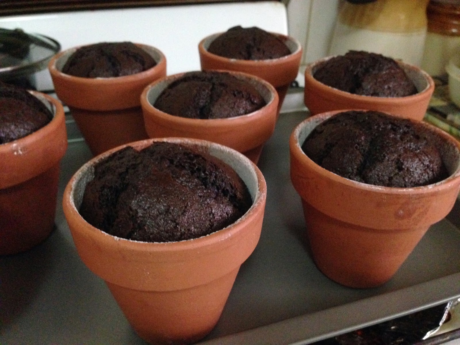 Heart of Mary Flower pot cakes