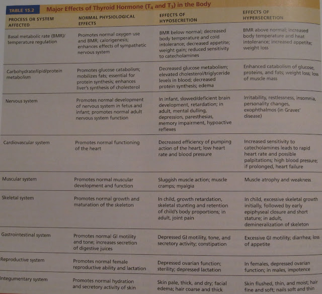 Anatomy and Physiology 2 Eportfolio: The Endocrine System & It's Hormones