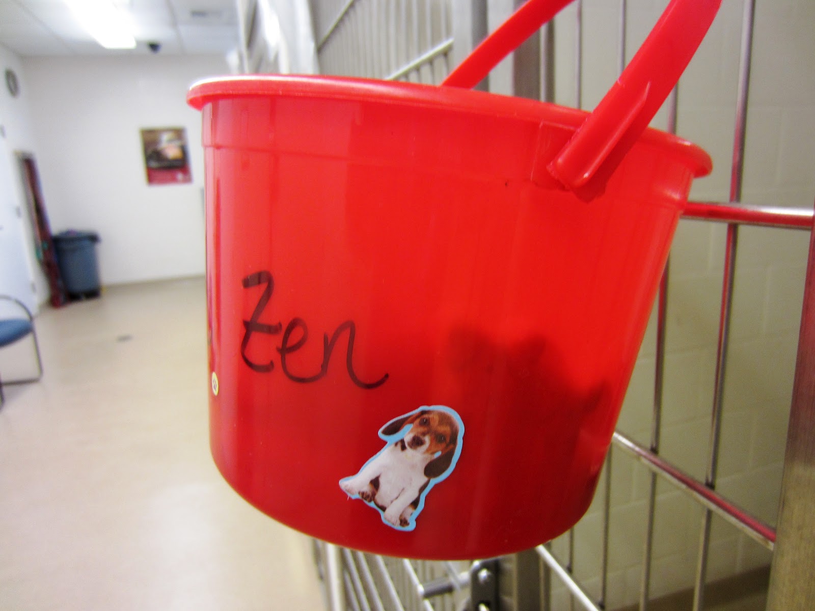 Peggy Adams Animal Rescue League Kennel Zen