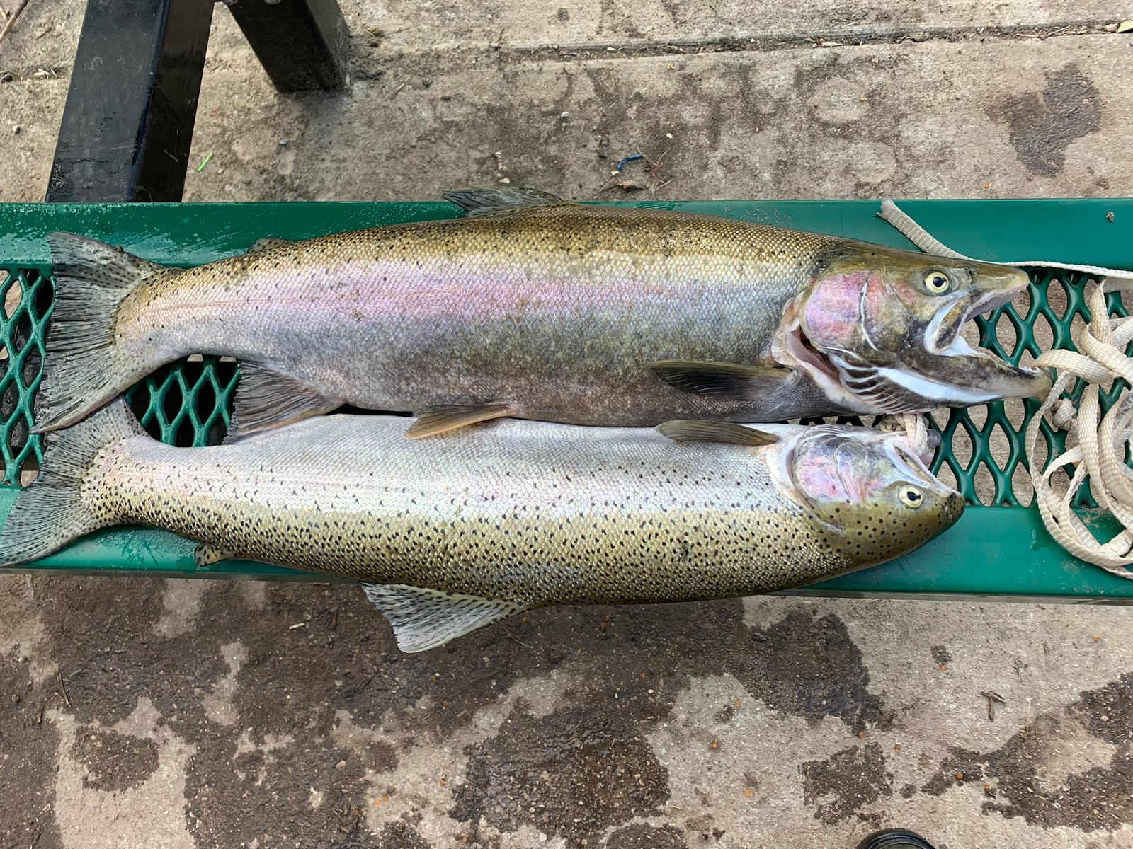 DNR Fishing Report