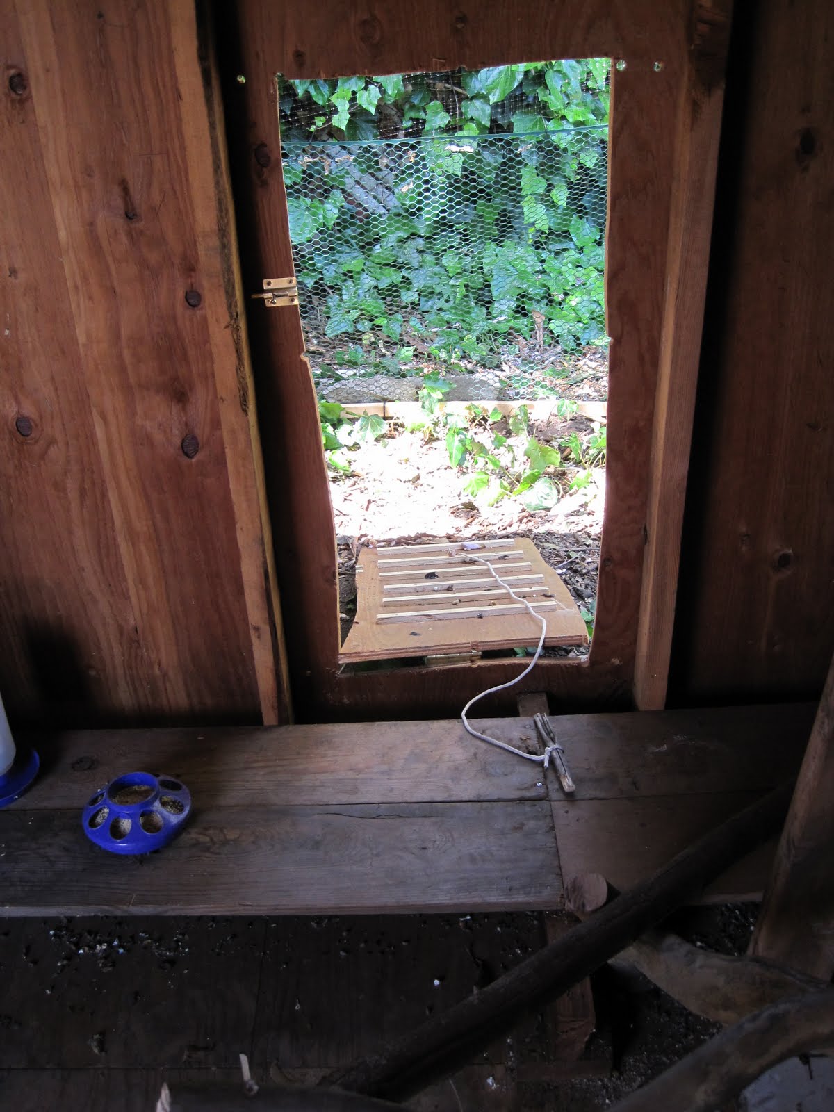 Our Adventure How to turn an old shed into a chicken coop