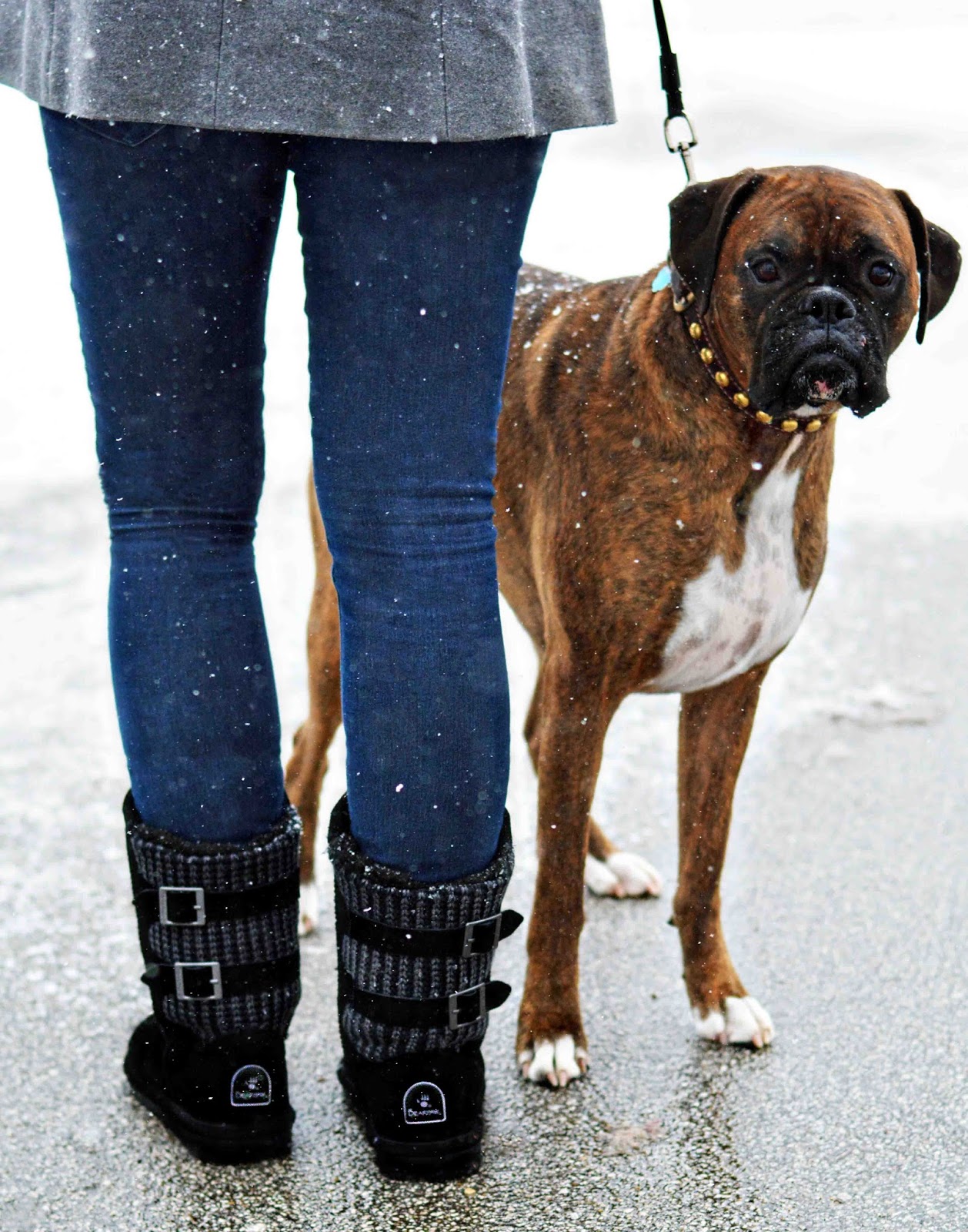 Theresa's Mixed Nuts Boots & Boxers ohsofamous