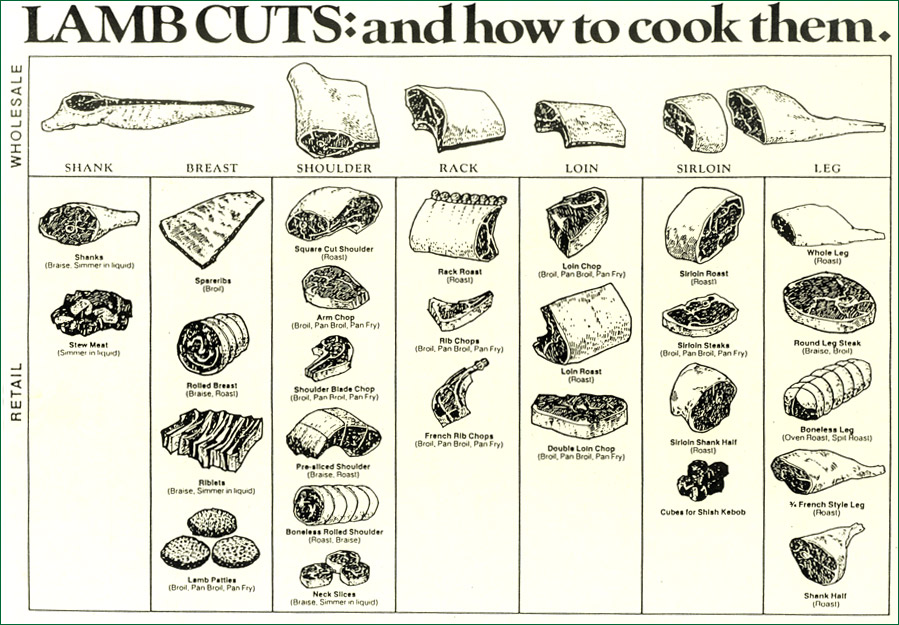 Chef and Househusband "Tips & Techniques" **LAMB**