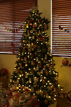 CHRISTMAS TREES 2012