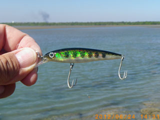 Anyone know how to make a jerkbait suspend shallower - TackleTour