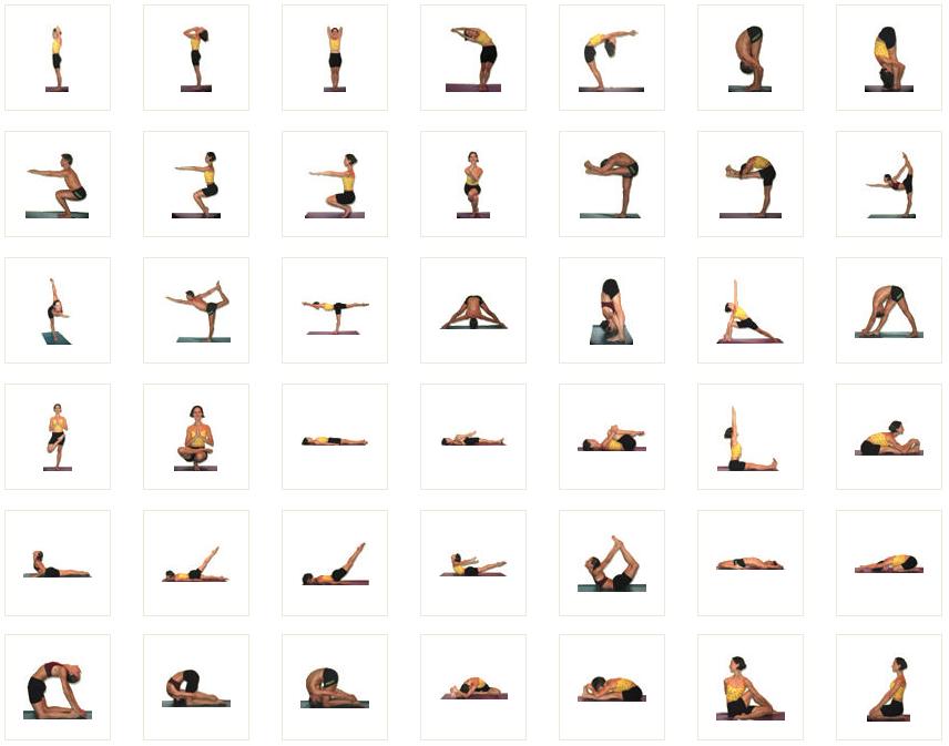 Yoga Rosey's Living: for poses Beginners basic for video Barn: Healthy beginners yoga
