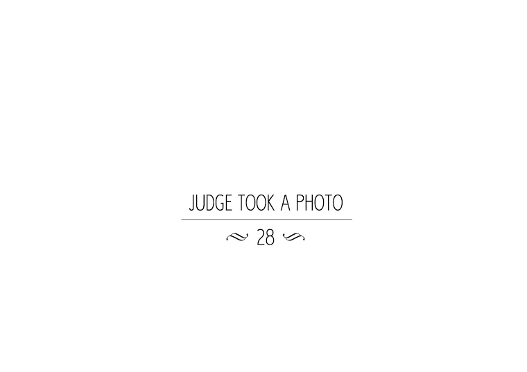 JUDGE took a photo