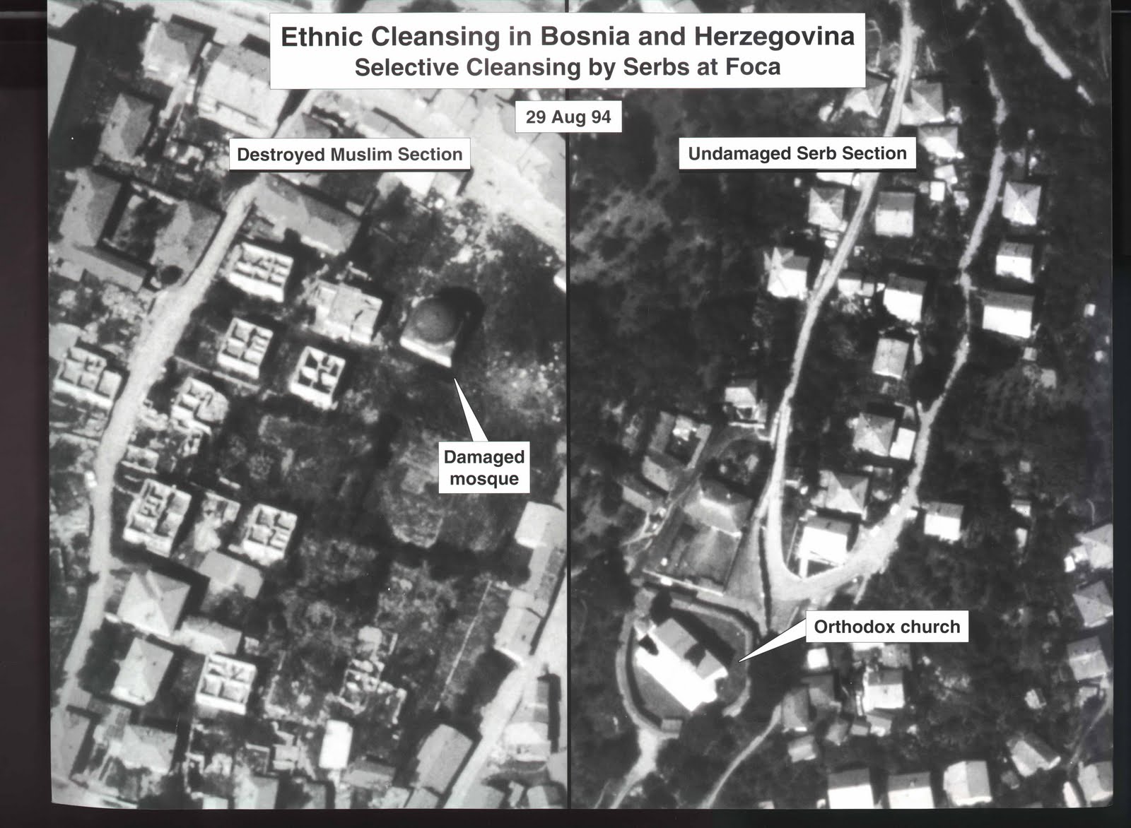 Ethnic Cleansing Of Bosnia 108