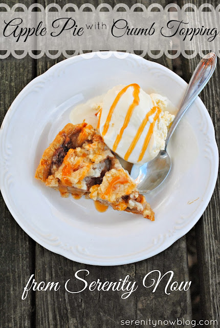 Apple Pie with Crumb Topping (Easy Fall Dessert Recipe) from Serenity Now