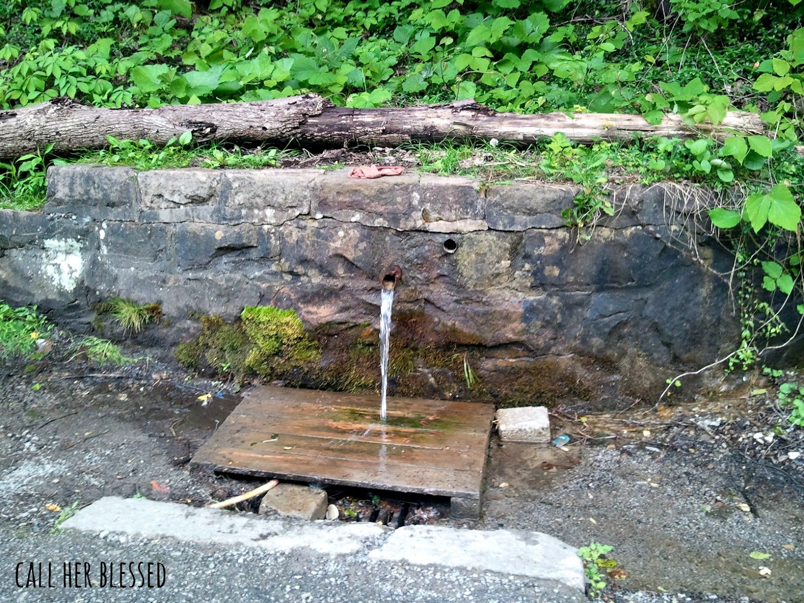 If The Creek Don't Rise Pennington Gap, Virginia