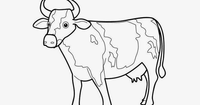 Cows coloring pages | Free Coloring Pages and Coloring Books for Kids