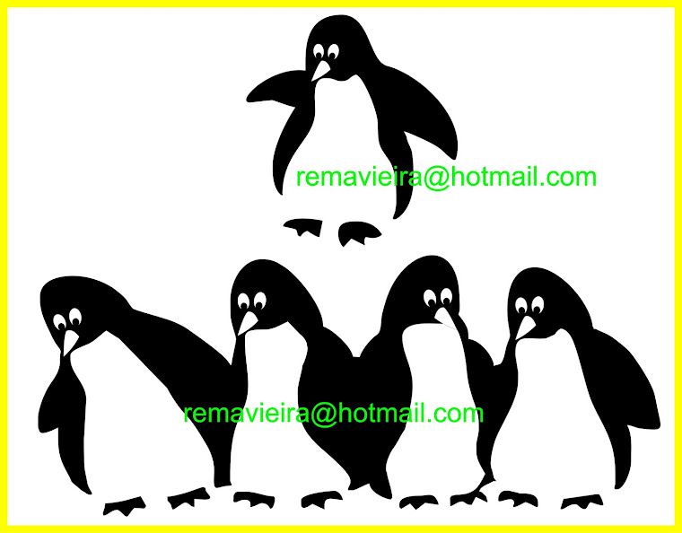 pinguins vetores