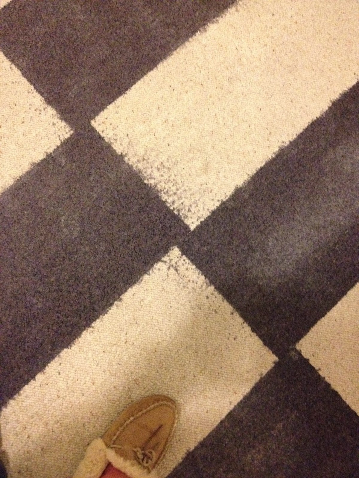 CK and Nate header Secret Project 2 Dyeing a Pattern Into an Old Rug