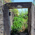 green entrance in Caminho do Meio