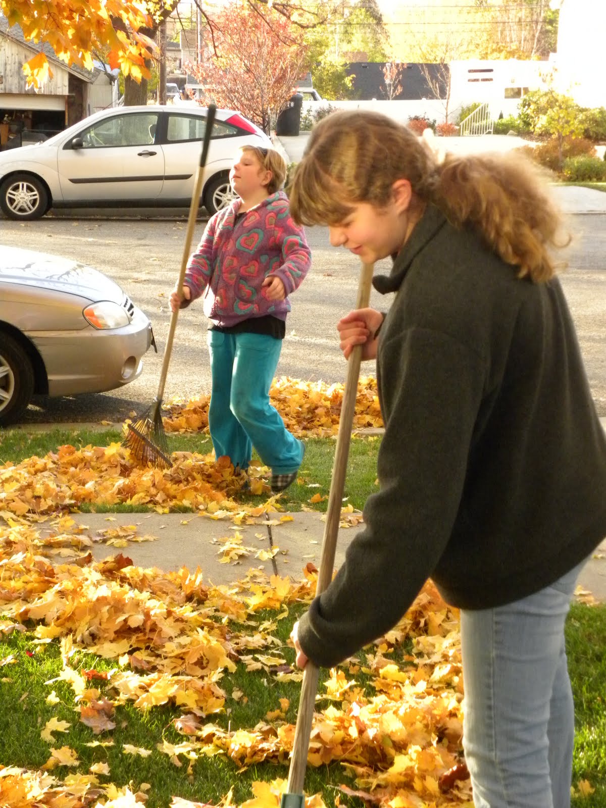 10th Ward Young Women Raking leaves ) Service is awesome!!!