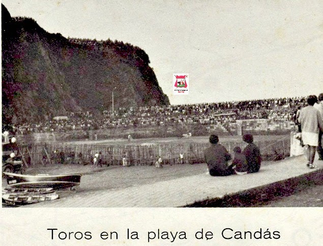 candás toros