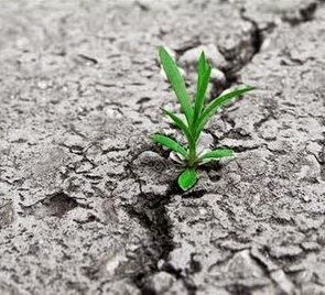 aysin altun iki bayram arasi