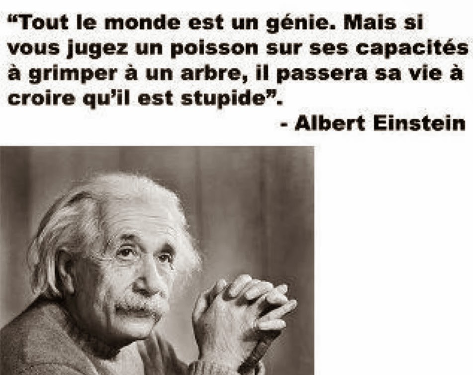 Sosofia94 Citation De Einstein