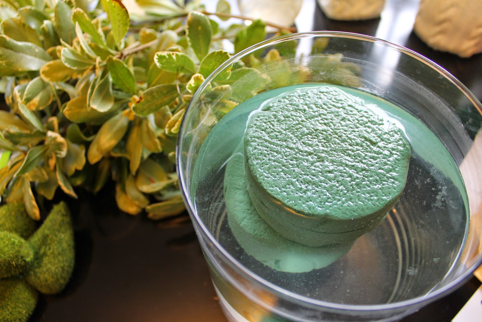 DIY Faux Moss Terrariums Miss Kopy Kat