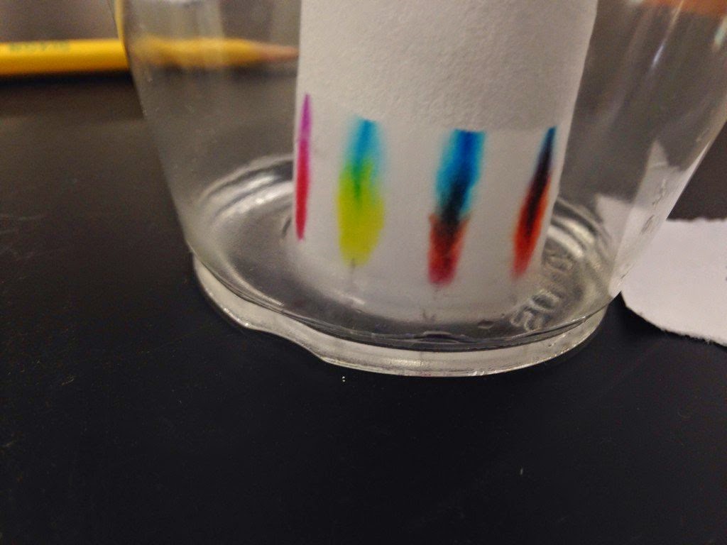 Becca AP Chem Chromatography Lab