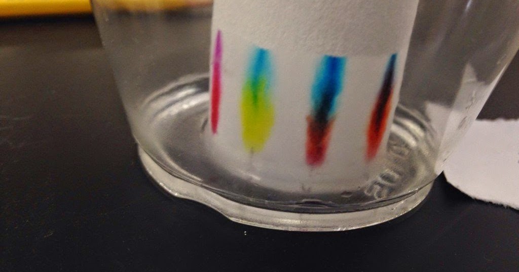 Becca AP Chem Chromatography Lab