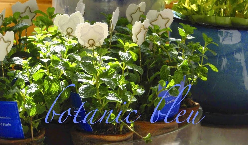 Botanic Bleu