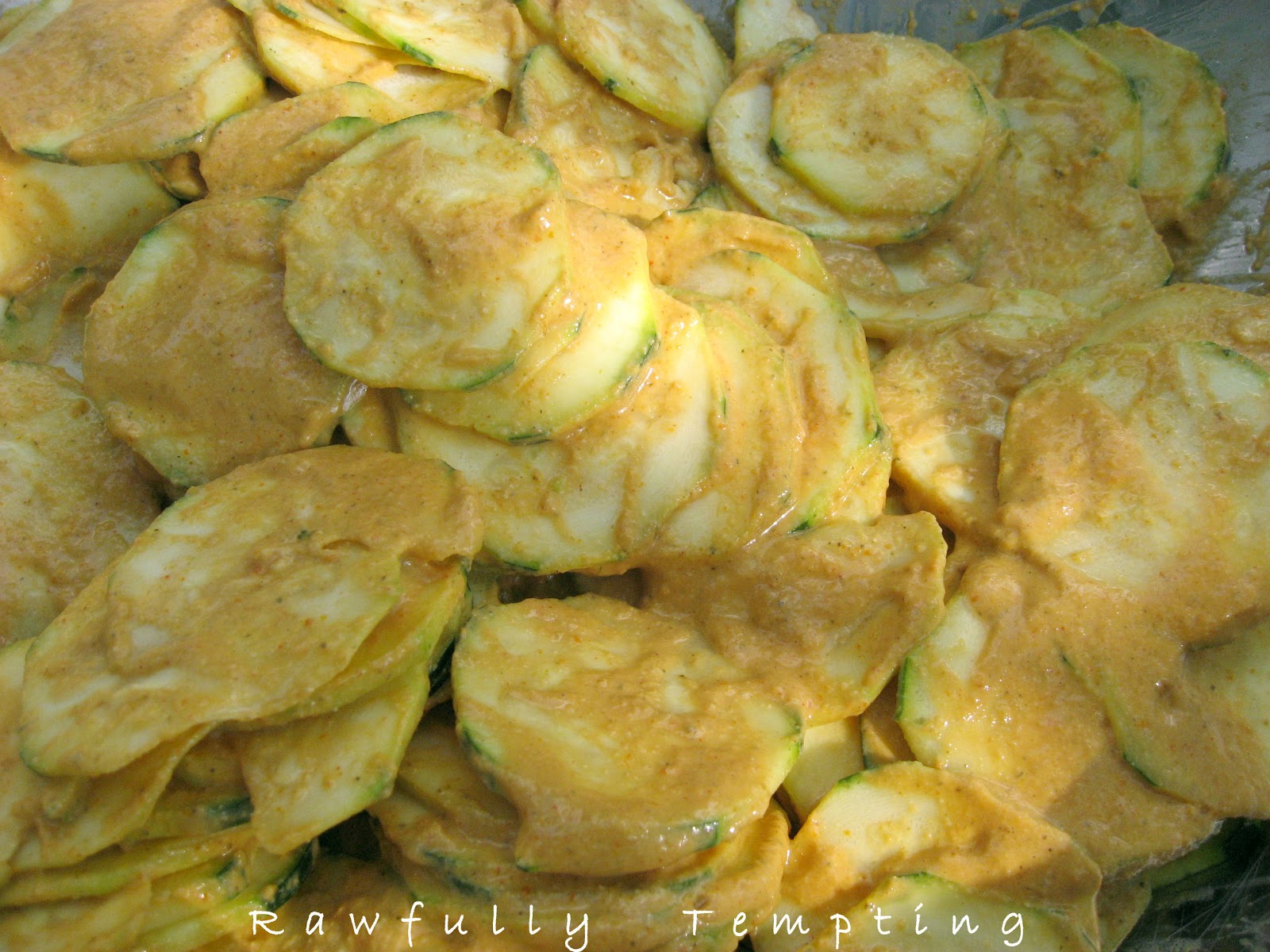 hot zucchini chips spicy bbq zucchini chips hot zucchini chips spicy bbq zucchini chips
