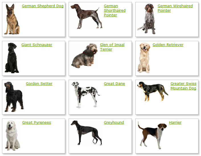 All List Of Different Dogs Breeds Dog Breeds List With Picture