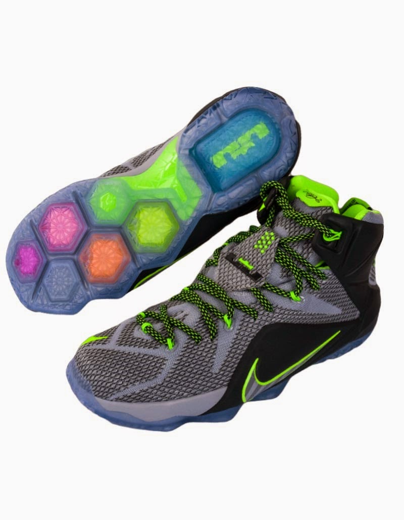 lebron 12 dunk force