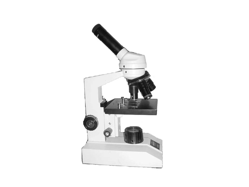 Mrs. Conner's Science Place: Microscope Parts