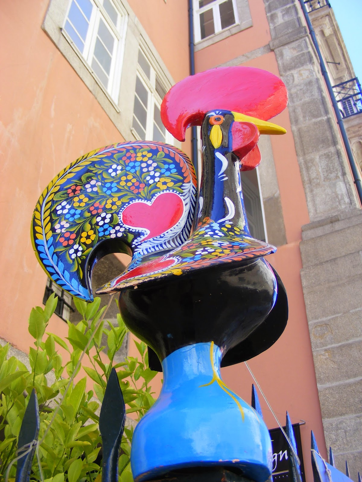 Rooster in Porto Kogut w Porto