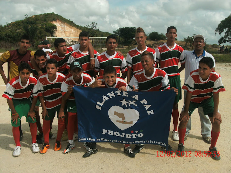 Final da Copa Plante a Paz