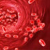 Obat Leukimia Alami Dan Aman thumbnail