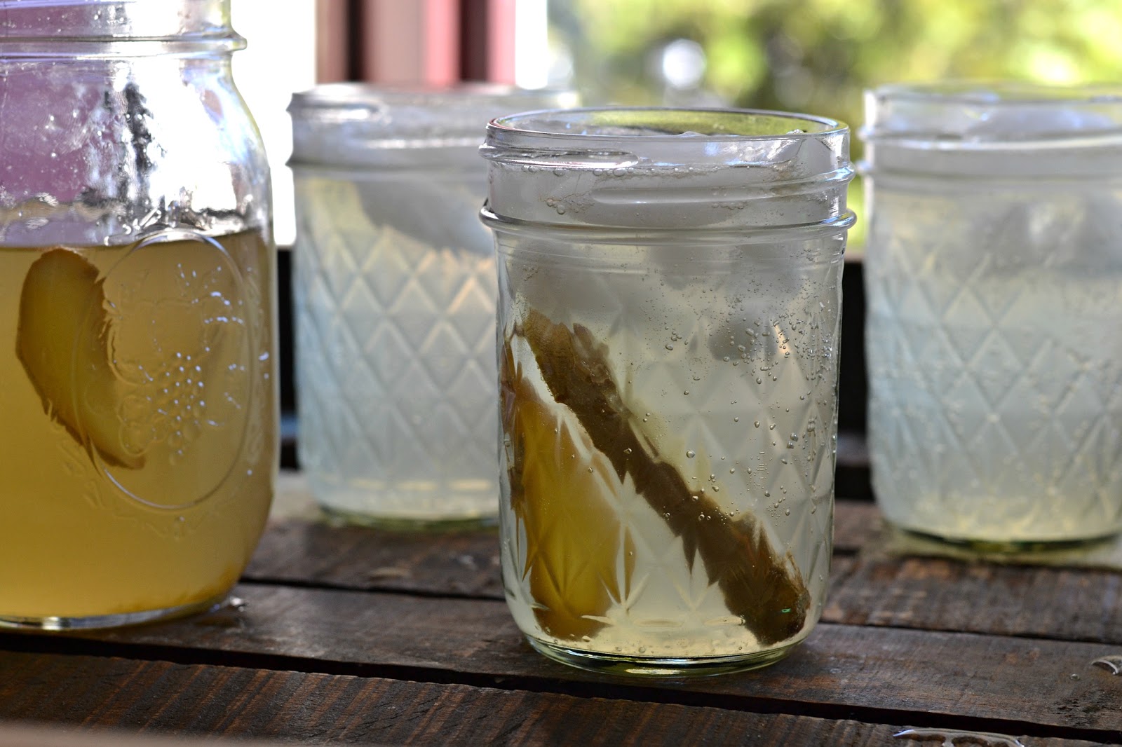 Easy Homemade Grapefruit Ginger Ale Baked New England