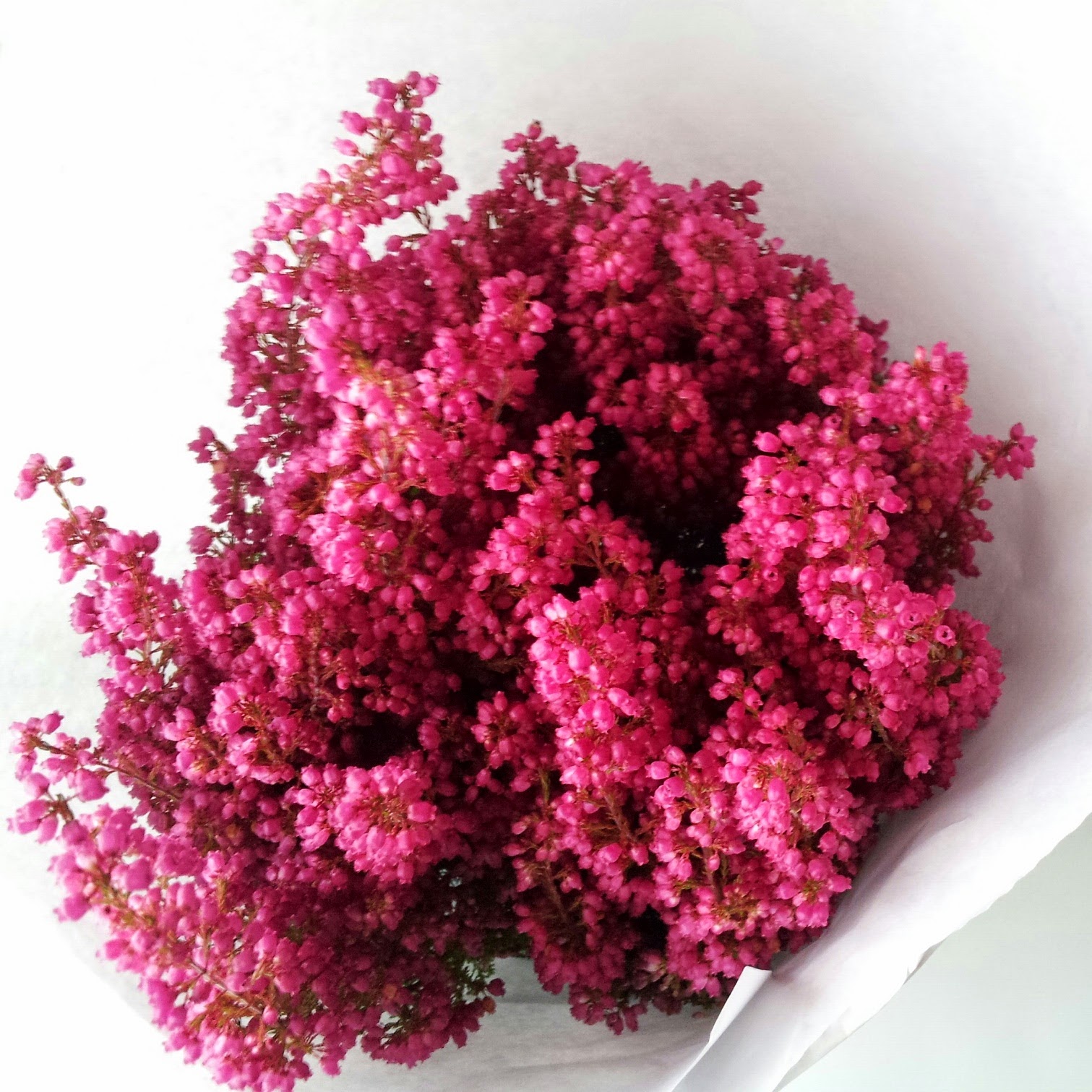 BE FASHIONABLY Margarita se llama mi amor...