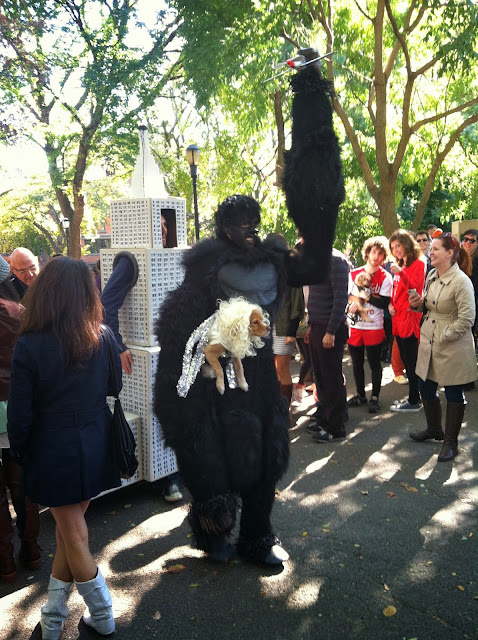 2013 Halloween Pet Parade 